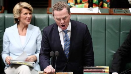 pyne